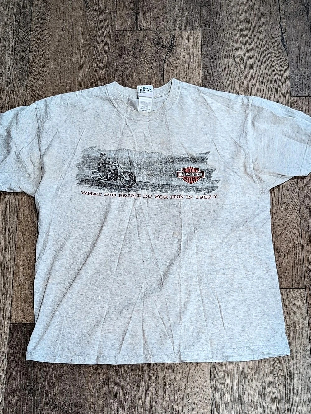 Harley-Davidson Workman Rock Falls II Graphic Tee Gray XL